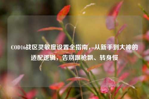 COD16战区灵敏度设置全指南，从新手到大神的适配逻辑，告别跟枪飘、转身慢