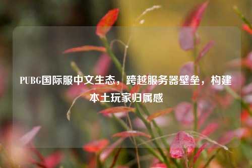PUBG国际服中文生态，跨越服务器壁垒，构建本土玩家归属感