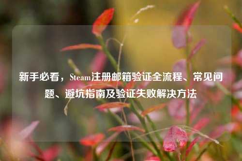 新手必看，Steam注册邮箱验证全流程、常见问题、避坑指南及验证失败解决方法