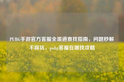 PUBG手游官方客服全渠道查找指南，问题秒解不踩坑，pubg客服在哪找攻略