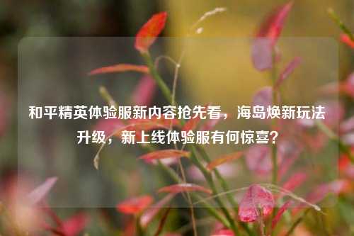 和平精英体验服新内容抢先看，海岛焕新玩法升级，新上线体验服有何惊喜？