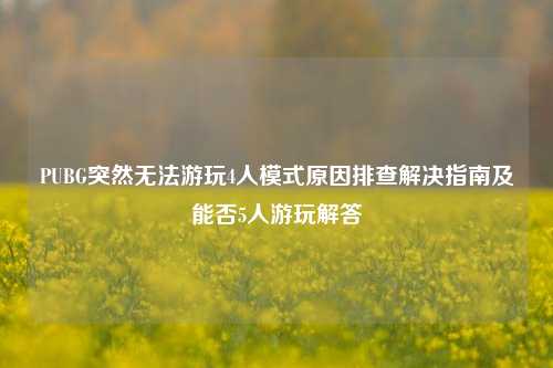 PUBG突然无法游玩4人模式原因排查解决指南及能否5人游玩解答