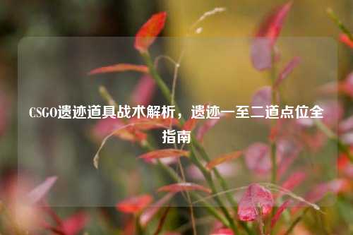CSGO遗迹道具战术解析，遗迹一至二道点位全指南