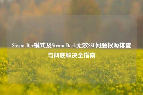 Steam Dev模式及Steam Deck无效SSL问题根源排查与彻底解决全指南
