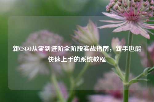 新CSGO从零到进阶全阶段实战指南,新手也能快速上手的系统教程