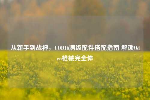 从新手到战神，COD16满级配件搭配指南 解锁Oden枪械完全体