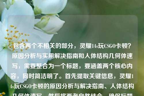 包含两个不相关的部分，灵耀14s玩CSGO卡顿？原因分析与实用解决指南和人体结构几何体速写，需要整合为一个标题，要涵盖两个核心内容，同时简洁明了。首先提取关键信息，灵耀14s玩CSGO卡顿的原因分析与解决指南、人体结构几何体速写。然后将两者自然结合，确保标题通顺，覆盖所有要点。，灵耀14s玩CSGO卡顿原因分析与解决指南及人体结构几何体速写相关内容汇总