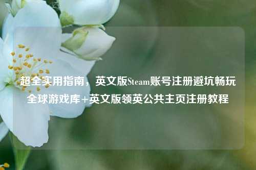 超全实用指南,英文版Steam账号注册避坑畅玩全球游戏库+英文版领英公共主页注册教程