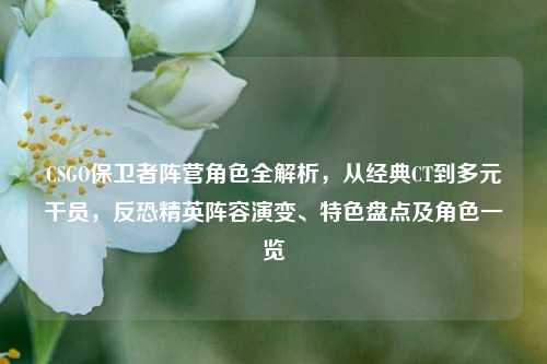 CSGO保卫者阵营角色全解析，从经典CT到多元干员，反恐精英阵容演变、特色盘点及角色一览