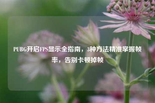 PUBG开启FPS显示全指南，3种方法精准掌握帧率，告别卡顿掉帧