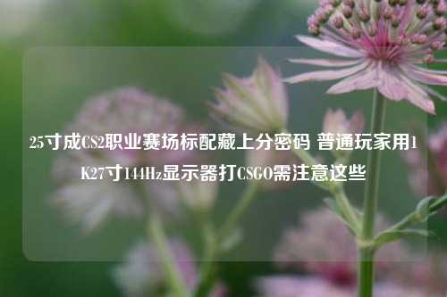 25寸成CS2职业赛场标配藏上分密码 普通玩家用1K27寸144Hz显示器打CSGO需注意这些