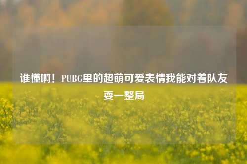 谁懂啊!PUBG里的超萌可爱表情我能对着队友耍一整局