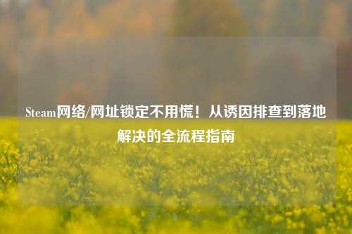Steam网络/网址锁定不用慌！从诱因排查到落地解决的全流程指南