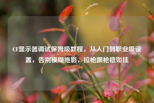 CF显示器调试保姆级教程,从入门到职业级设置,告别模糊拖影,拉枪跟枪稳如挂