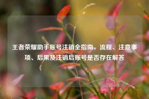 王者荣耀助手账号注销全指南，流程、注意事项、后果及注销后账号是否存在解答