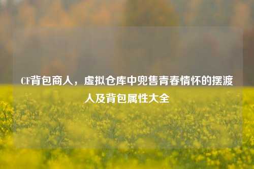 CF背包商人，虚拟仓库中兜售青春情怀的摆渡人及背包属性大全