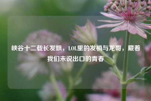 峡谷十二载长发飘，LOL里的发梢与龙哥，藏着我们未说出口的青春