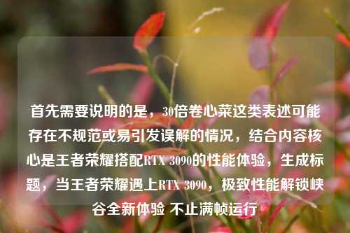 首先需要说明的是,30倍卷心菜这类表述可能存在不规范或易引发误解的情况,结合内容核心是王者荣耀搭配RTX 3090的性能体验,生成标题,当王者荣耀遇上RTX 3090,极致性能解锁峡谷全新体验 不止满帧运行