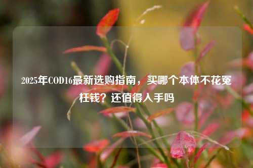 2025年COD16最新选购指南，买哪个本体不花冤枉钱？还值得入手吗