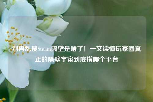 别再乱搜Steam隔壁是啥了！一文读懂玩家圈真正的隔壁宇宙到底指哪个平台