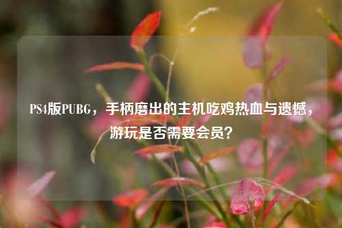 PS4版PUBG，手柄磨出的主机吃鸡热血与遗憾，游玩是否需要会员？
