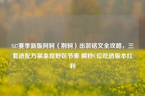 S37赛季新版阿轲（荆轲）出装铭文全攻略，三套适配方案拿捏野区节奏 瞬秒C位吃透版本红利
