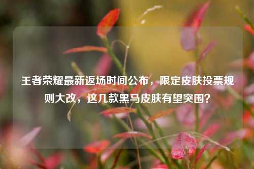 王者荣耀最新返场时间公布，限定皮肤投票规则大改，这几款黑马皮肤有望突围？