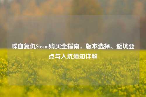 喋血复仇Steam购买全指南,版本选择、避坑要点与入坑须知详解