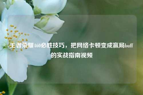 王者荣耀460必胜技巧，把网络卡顿变成赢局buff的实战指南视频