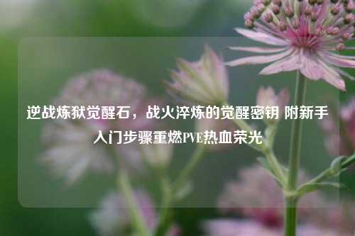 逆战炼狱觉醒石,战火淬炼的觉醒密钥 附新手入门步骤重燃PVE热血荣光