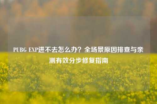 PUBG EXP进不去怎么办？全场景原因排查与亲测有效分步修复指南