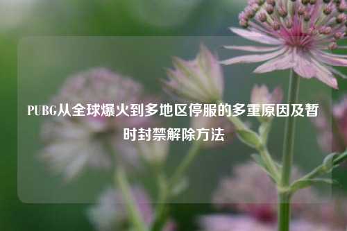 PUBG从全球爆火到多地区停服的多重原因及暂时封禁解除方法