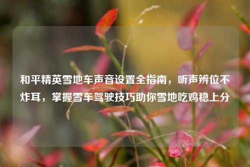 和平精英雪地车声音设置全指南,听声辨位不炸耳,掌握雪车驾驶技巧助你雪地吃鸡稳上分