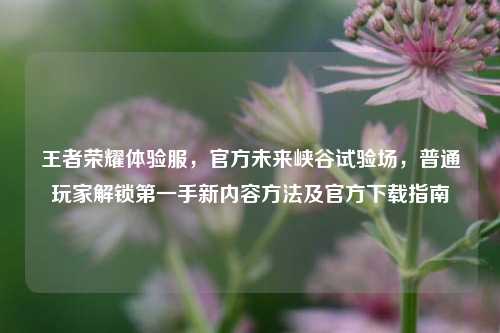 王者荣耀体验服，官方未来峡谷试验场，普通玩家解锁第一手新内容方法及官方下载指南