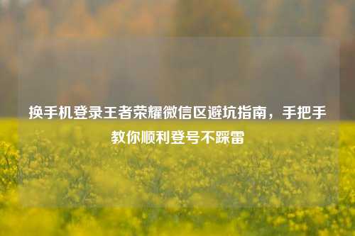 换手机登录王者荣耀微信区避坑指南,手把手教你顺利登号不踩雷
