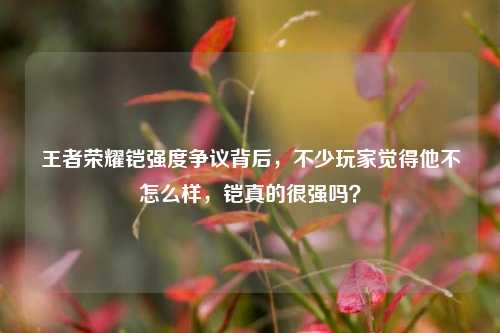 王者荣耀铠强度争议背后，不少玩家觉得他不怎么样，铠真的很强吗？