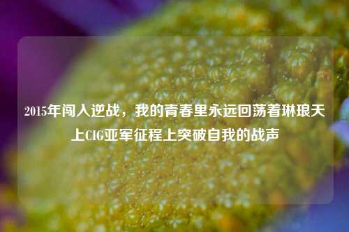 2015年闯入逆战,我的青春里永远回荡着琳琅天上CIG亚军征程上突破自我的战声