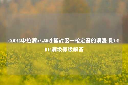 COD16中拉满AX-50才懂战区一枪定音的浪漫 附COD16满级等级解答