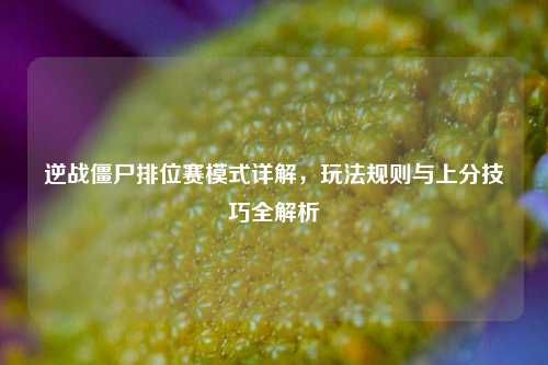 逆战僵尸排位赛模式详解，玩法规则与上分技巧全解析