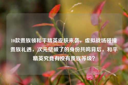 10款贵族领和平精英皮肤来袭，虚拟战场碰撞贵族礼遇，次元壁破了的身份共鸣背后，和平精英究竟有没有贵族等级？