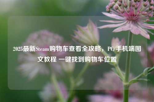2025最新Steam购物车查看全攻略，PC/手机端图文教程 一键找到购物车位置