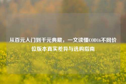 从百元入门到千元典藏，一文读懂COD16不同价位版本真实差异与选购指南