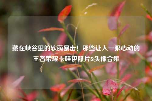 藏在峡谷里的软萌暴击！那些让人一眼心动的王者荣耀卡哇伊照片&头像合集