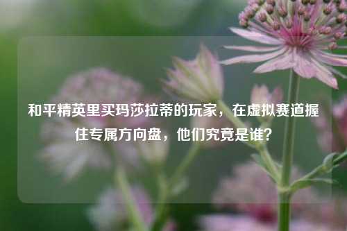 和平精英里买玛莎拉蒂的玩家,在虚拟赛道握住专属方向盘,他们究竟是谁?
