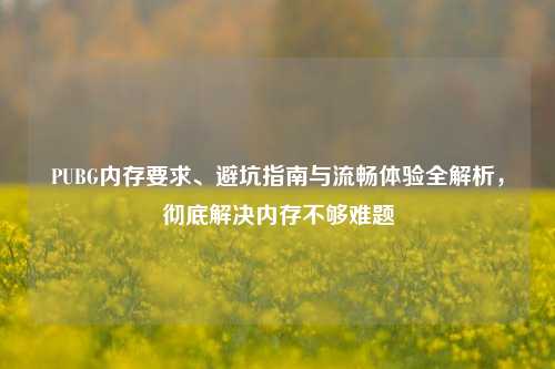 PUBG内存要求、避坑指南与流畅体验全解析,彻底解决内存不够难题