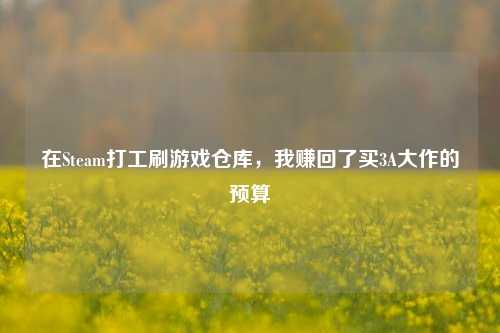 在Steam打工刷游戏仓库,我赚回了买3A大作的预算