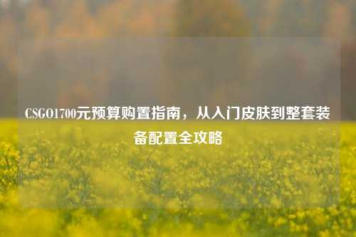 CSGO1700元预算购置指南，从入门皮肤到整套装备配置全攻略