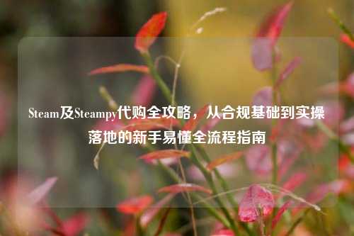 Steam及Steampy代购全攻略,从合规基础到实操落地的新手易懂全流程指南