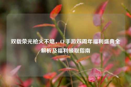 双载荣光枪火不熄,CF手游双周年福利盛典全解析及福利领取指南