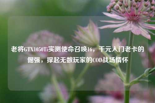 老将GTX1050Ti实测使命召唤16，千元入门老卡的倔强，撑起无数玩家的COD战场情怀